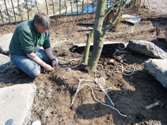 Appeltern
