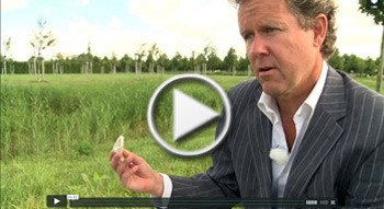 NL Greenlabel