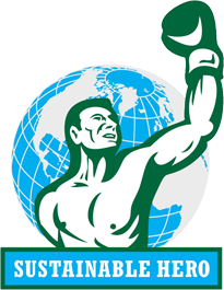 Sustainable Hero 2012