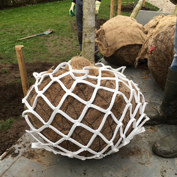 Lite-NET
